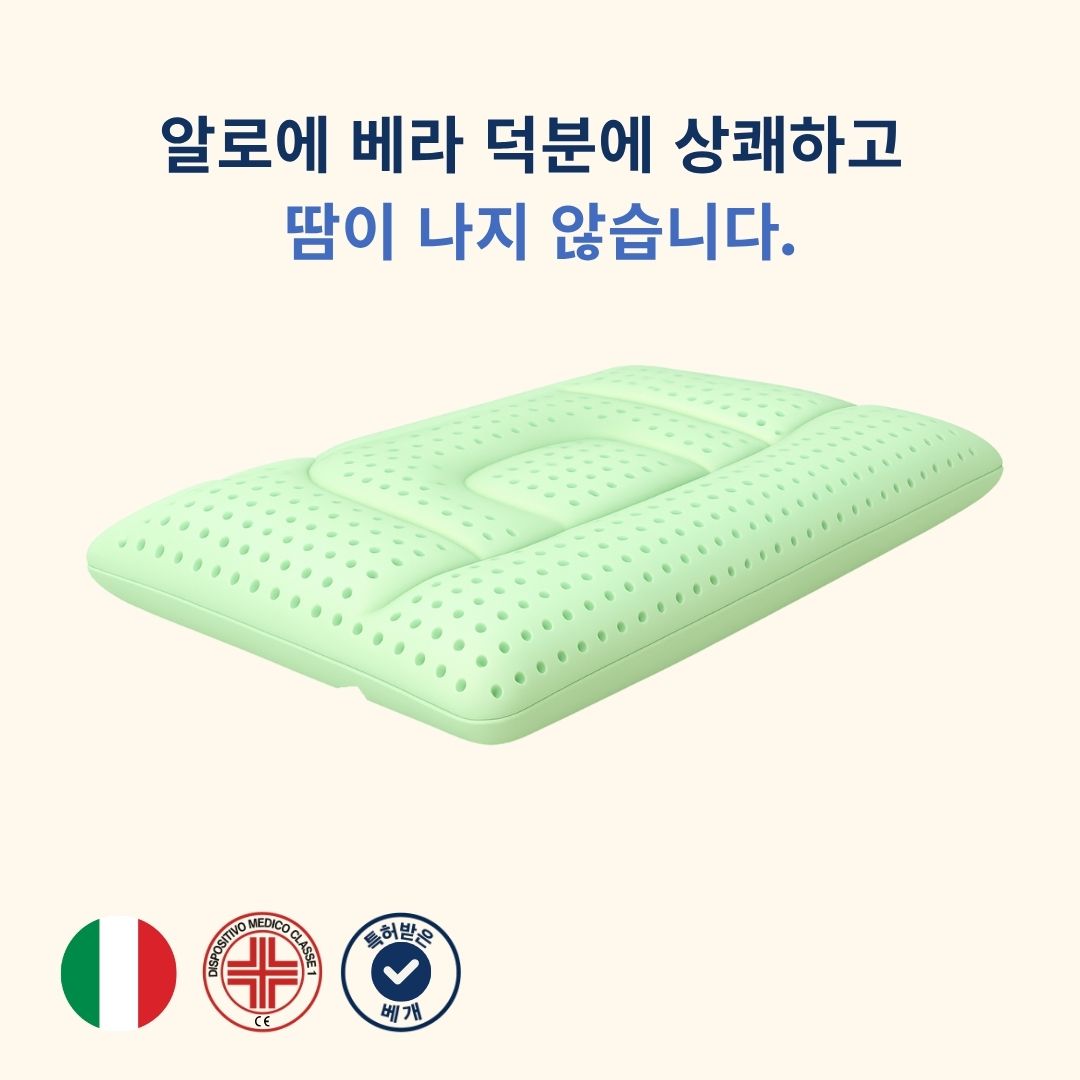 알로에 베라 경추 지지 베개